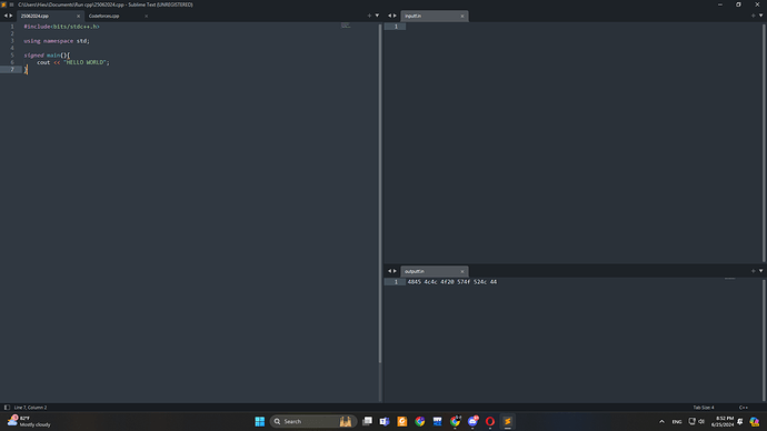 Hi! I have a problem with my sublimetext 3, can someone help me fix ...