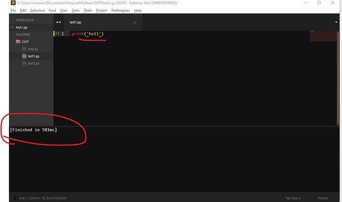 build-of-python-code-not-showing-output-technical-support-sublime-forum