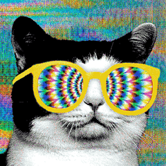 SublimeTextForum profile picture for @barnett