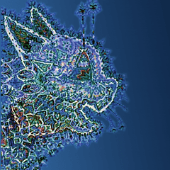 SublimeTextForum profile picture for @focused