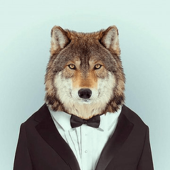 SublimeTextForum profile picture for @franck
